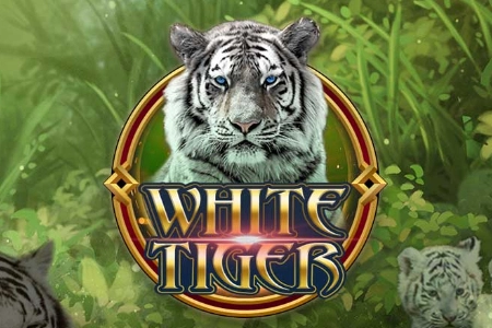 07426 white tiger