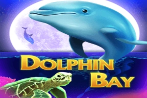 19035 dolphin bay