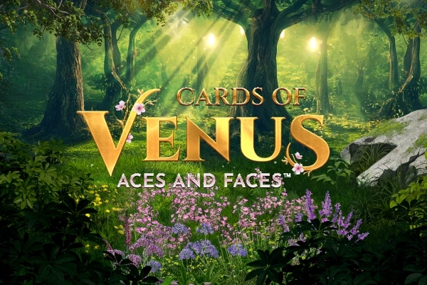 23498 cards of venus aces and faces